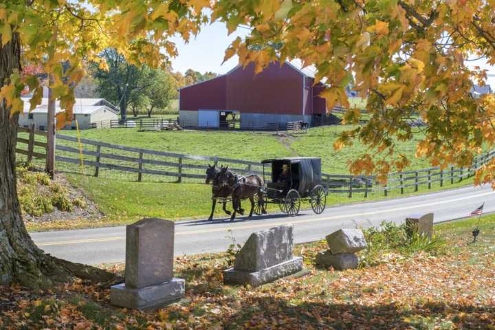 Woman Killed When Motorcyclist Hits Horse And Buggy: PA State Police